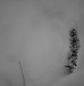 One of my photos which I have recently taken around my vicin