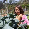 My daughter harvesting some broccoli..