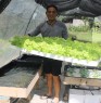 This is me in my greenhouse in the philippines where i grow 