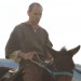 Riding a mule :)