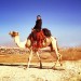 Riding a camel in Judean Desert