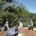 Building a green roof as a volunteer