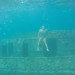Barbados free diving