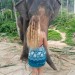 I love animals (especially elephants)
