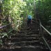 Mount Ledang for hiking