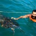 Swimming with turtles in Peru