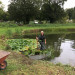 A client’s nature reserve, home to Kingfishers