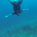 scuba in th