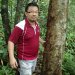 in forest, Sarawak, Malaysia.