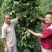 With pepper farm owner, Sarawak, Malaysia.