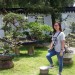 Bonsai Garden at Singapore