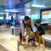 My job on cruise ship 