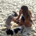 Two loves, beach and dogs