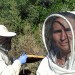 beekeeping in Sardinia