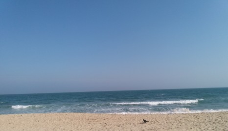Beautiful beaches in Busan!