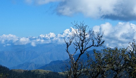 Goechala Trek