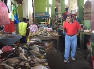 Fish Department in the market