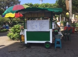 Food cart in the park