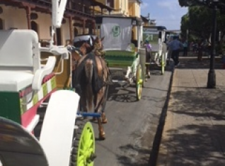The lineup of carts to take people on ridea