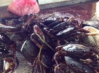 Live Crabs in the Market