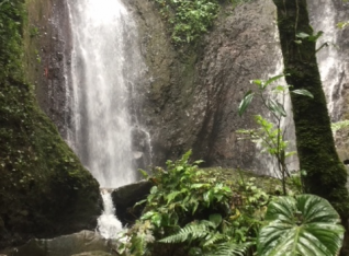 The gorgeous Waterfall