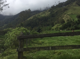 The farmers field hike