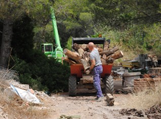 Filling the dumper with logs