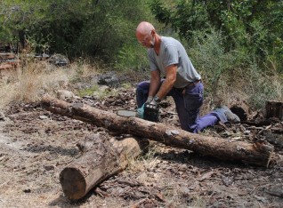 Cutting the logs in pieces I can carry 