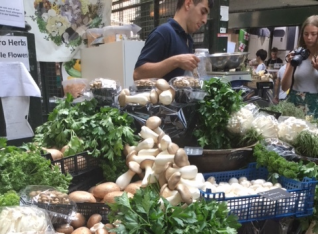 Mushrooms at the market