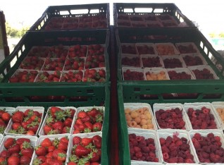 Fresh berries at the Farmers Market