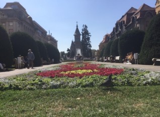 Timisoara square