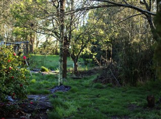 The garden (or a bit of it, 12 hectares in total)