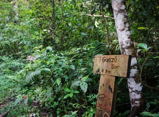 The starting point of Guazú trail