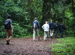 A group of tourists exploring the jungle