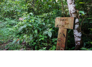 Guazú Trek at the Reserve