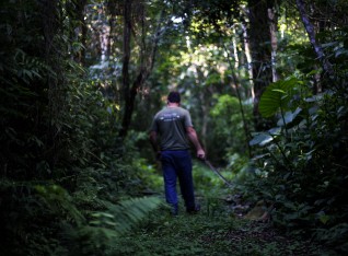 Saúl in the jungle