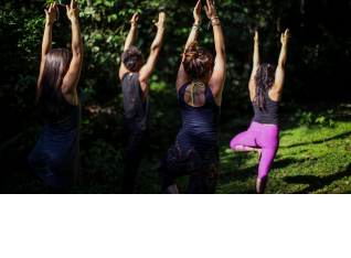 Yoga en la selva