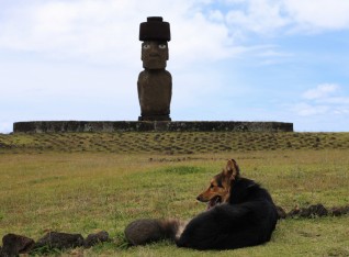 Better than Rapa Nui is Rapa Nui with dogs!!