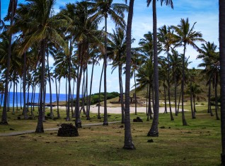 The beach here is paradise!