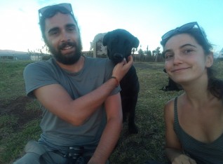 Doggies at Rapa Nui