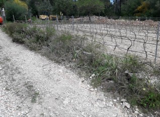 The former fence near the vineyard