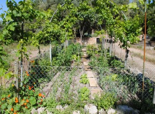 Wat een moestuin !