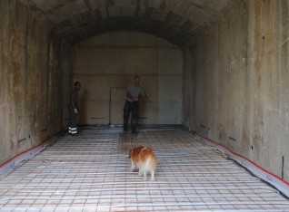 Borre\'s inspection before the concrete