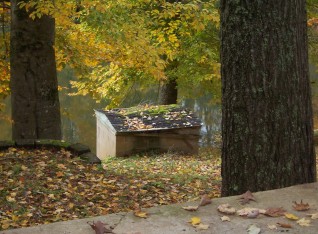 Lil shed needs a new roof