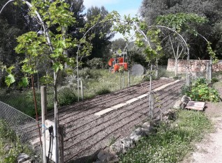 Veggie garden ready for being planted