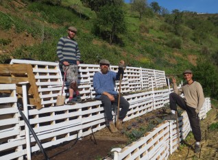 We built these terraces!!!