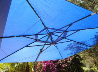 New parasol !!