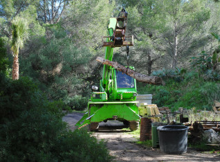 Lifting a trunk with the 14 ton telescopic handler