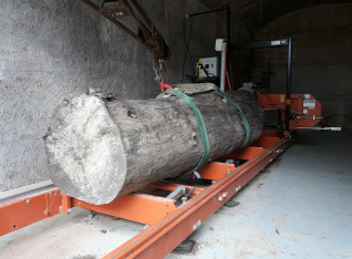 Tree on the saw mill rail