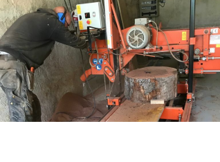 Slicing 60 cm trunks of oak wood